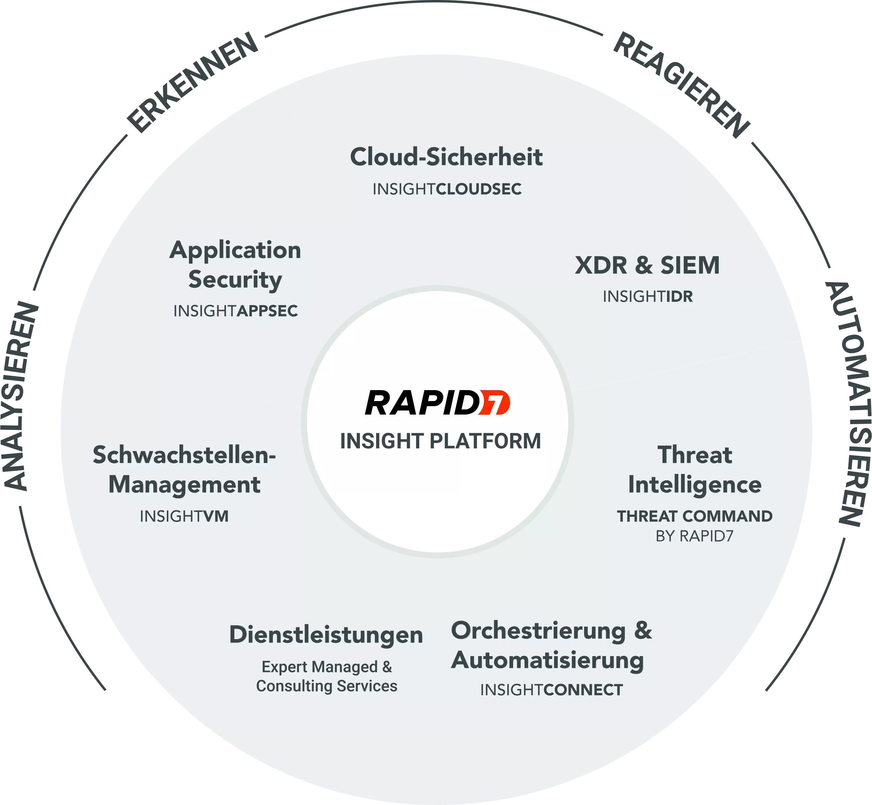 Rapid7 theme wheel